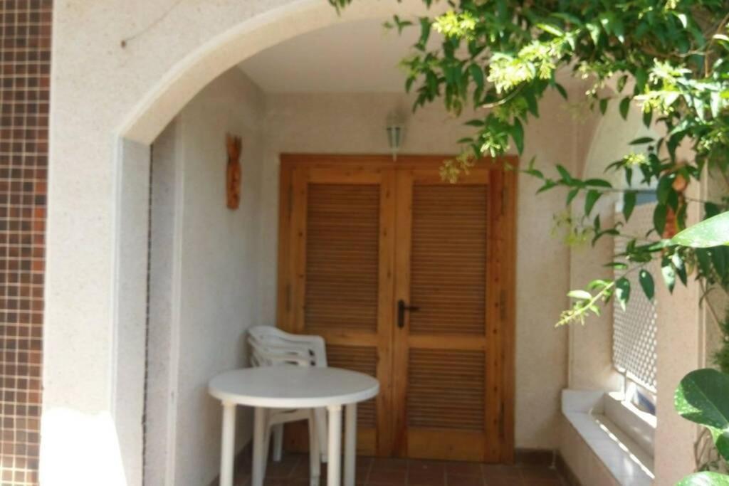 La Casa De La Palmera Leilighet Torrevieja Eksteriør bilde