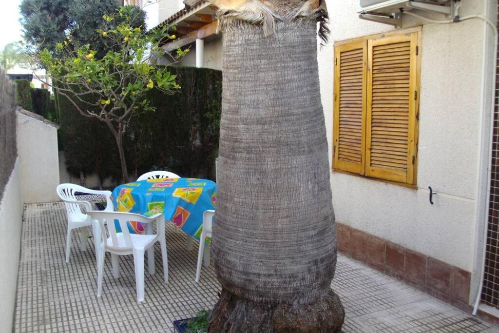 La Casa De La Palmera Leilighet Torrevieja Eksteriør bilde